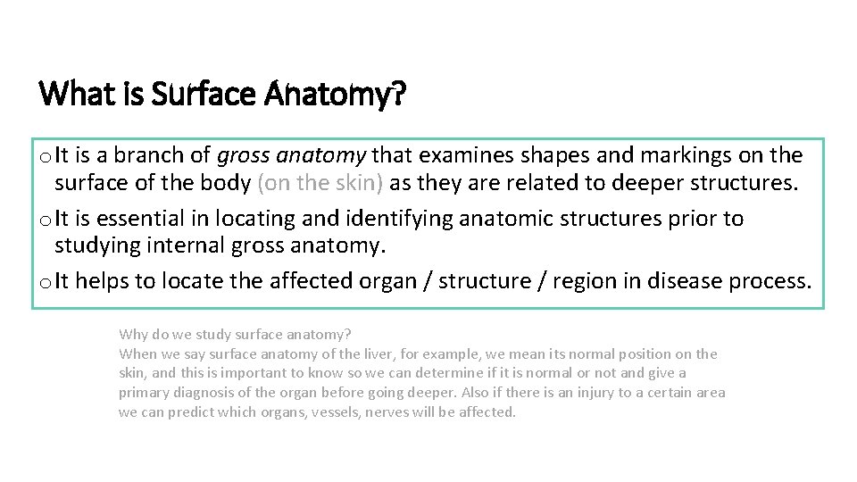 What is Surface Anatomy? o It is a branch of gross anatomy that examines