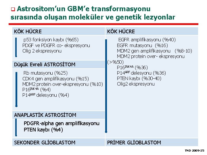 q Astrositom’un GBM’e transformasyonu sırasında oluşan moleküler ve genetik lezyonlar KÖK HÜCRE p 53