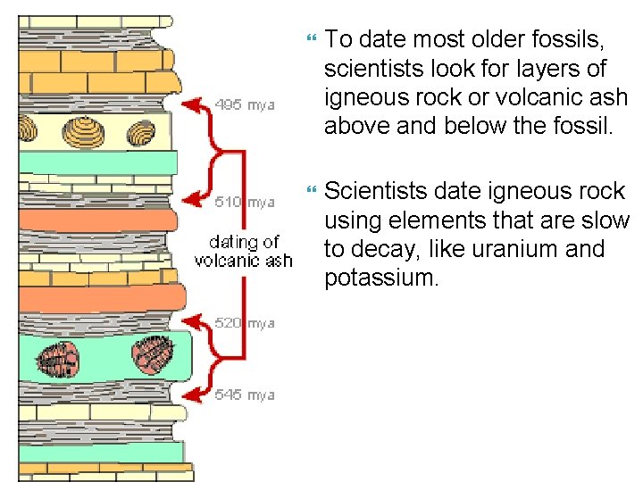  To date most older fossils, scientists look for layers of igneous rock or