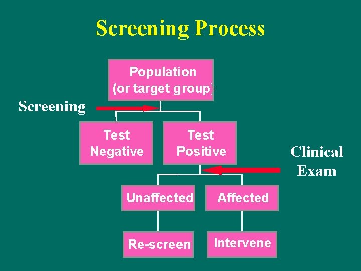 Screening Process Population (or target group) Screening Test Negative Test Positive Unaffected Affected Re-screen