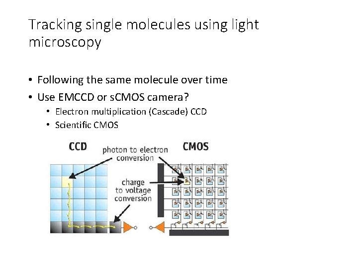 Tracking single molecules using light microscopy • Following the same molecule over time •