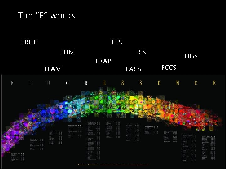 The “F” words FRET FFS FLIM FLAM FRAP FCS FACS FIGS FCCS 