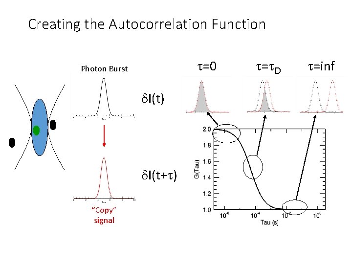 Creating the Autocorrelation Function t=0 Photon Burst d. I(t) d. I(t+t) “Copy” signal t=t.