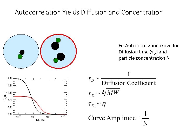 Autocorrelation Yields Diffusion and Concentration Fit Autocorrelation curve for Diffusion time (t. D) and