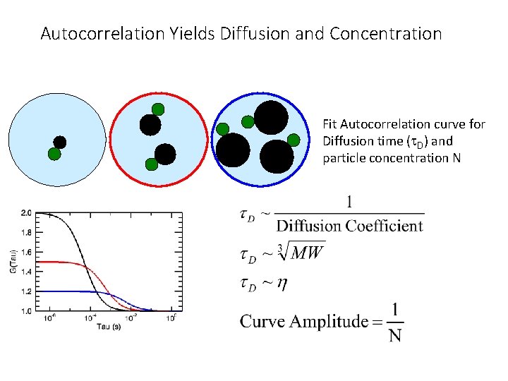 Autocorrelation Yields Diffusion and Concentration Fit Autocorrelation curve for Diffusion time (t. D) and