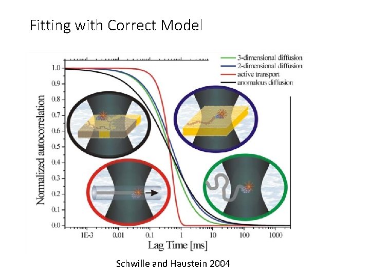 Fitting with Correct Model Schwille and Haustein 2004 