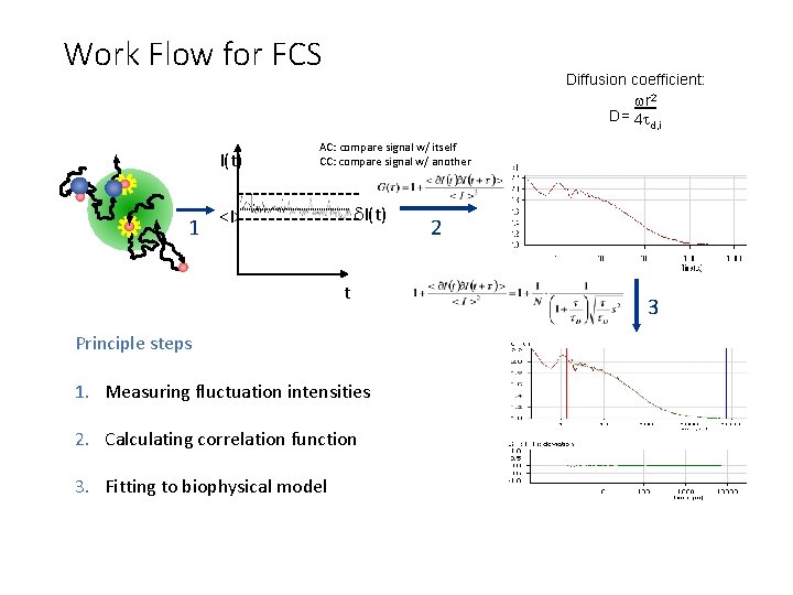 Work Flow for FCS I(t) 1 Diffusion coefficient: wr 2 D= 4 t d,