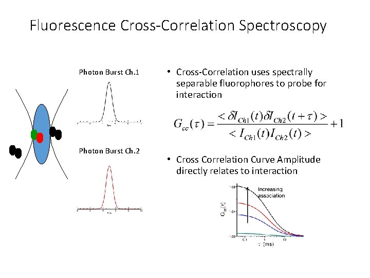 Fluorescence Cross-Correlation Spectroscopy Photon Burst Ch. 1 Photon Burst Ch. 2 • Cross-Correlation uses