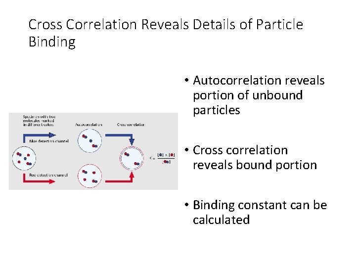 Cross Correlation Reveals Details of Particle Binding • Autocorrelation reveals portion of unbound particles