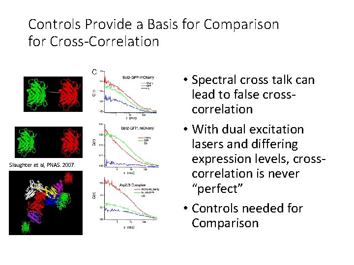 Controls Provide a Basis for Comparison for Cross-Correlation Slaughter et al, PNAS. 2007. •