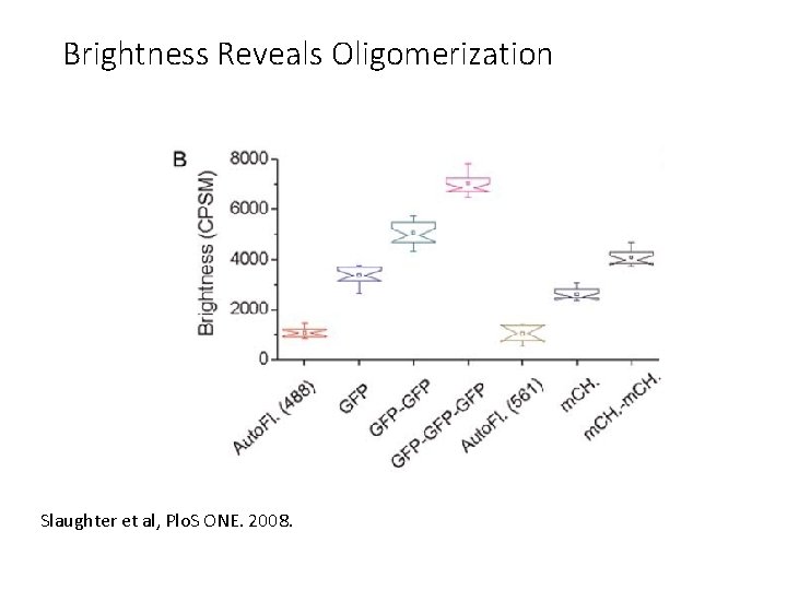 Brightness Reveals Oligomerization Slaughter et al, Plo. S ONE. 2008. 