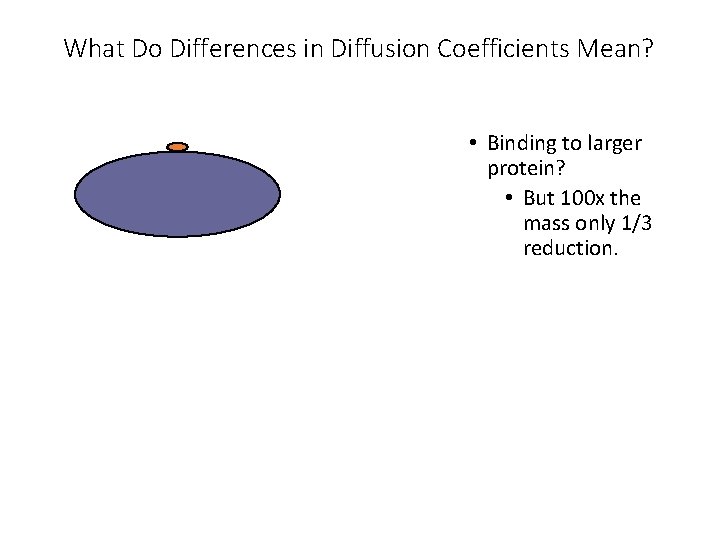 What Do Differences in Diffusion Coefficients Mean? • Binding to larger protein? • But