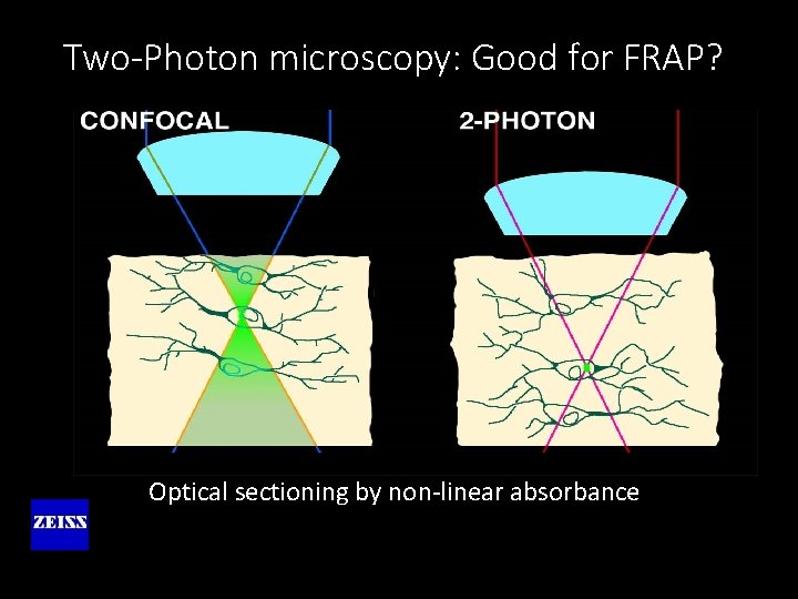 Two-Photon microscopy: Good for FRAP? Optical sectioning by non-linear absorbance 