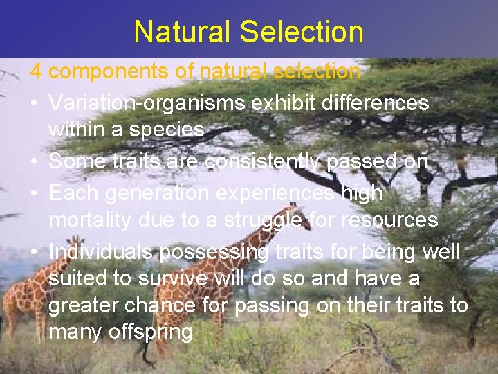Natural Selection 4 components of natural selection • Variation-organisms exhibit differences within a species