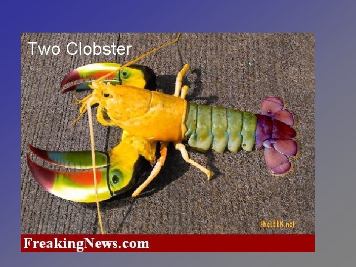 Two Clobster 