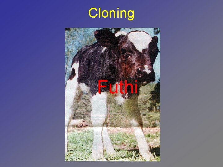 Cloning Futhi 