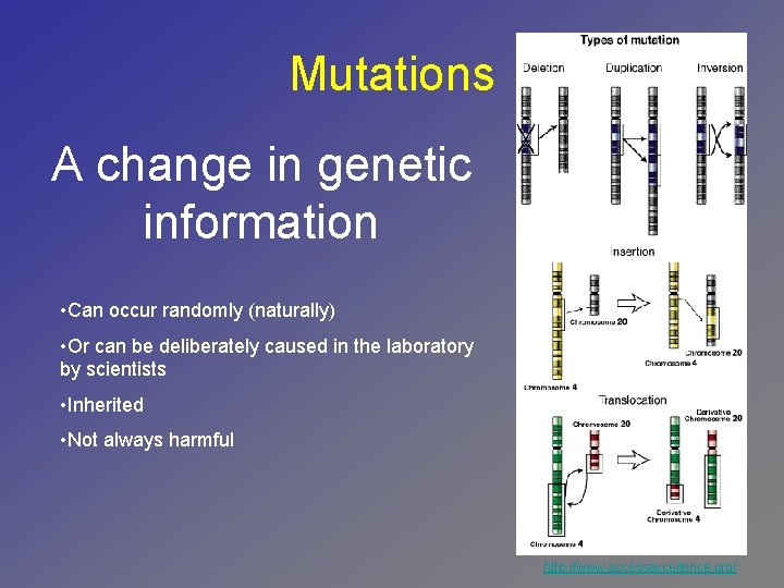 Mutations A change in genetic information • Can occur randomly (naturally) • Or can