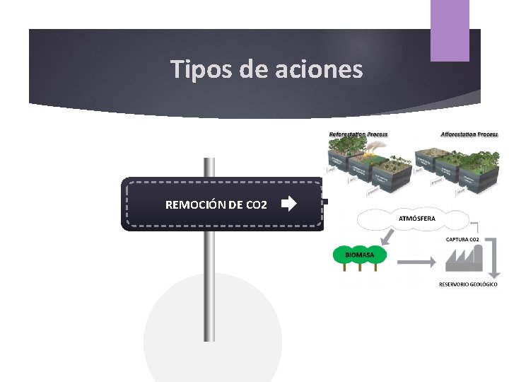 Tipos de aciones REMOCIÓN DE CO 2 