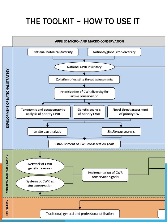 THE TOOLKIT – HOW TO USE IT National Strategy for conservation of CWR –