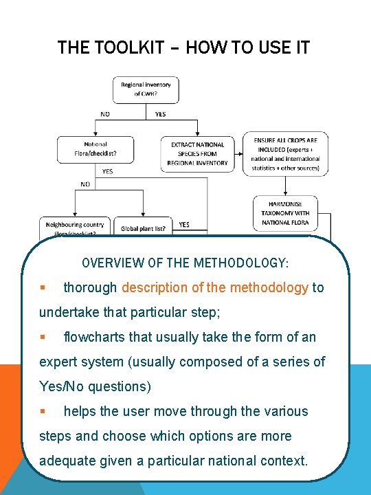 THE TOOLKIT – HOW TO USE IT OVERVIEW OF THE METHODOLOGY: § thorough description