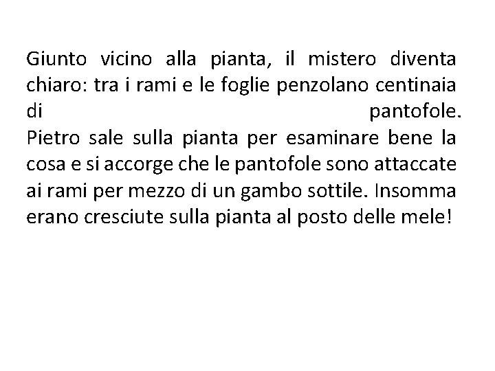 Giunto vicino alla pianta, il mistero diventa chiaro: tra i rami e le foglie