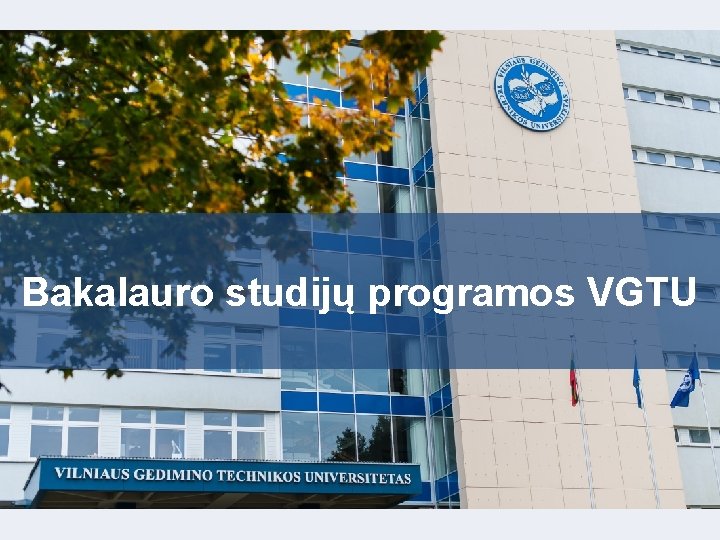 Bakalauro studijų programos VGTU 