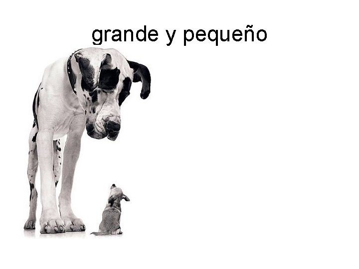 grande y pequeño 