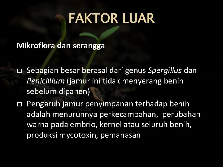 FAKTOR LUAR Mikroflora dan serangga Sebagian besar berasal dari genus Spergillus dan Penicillium (jamur