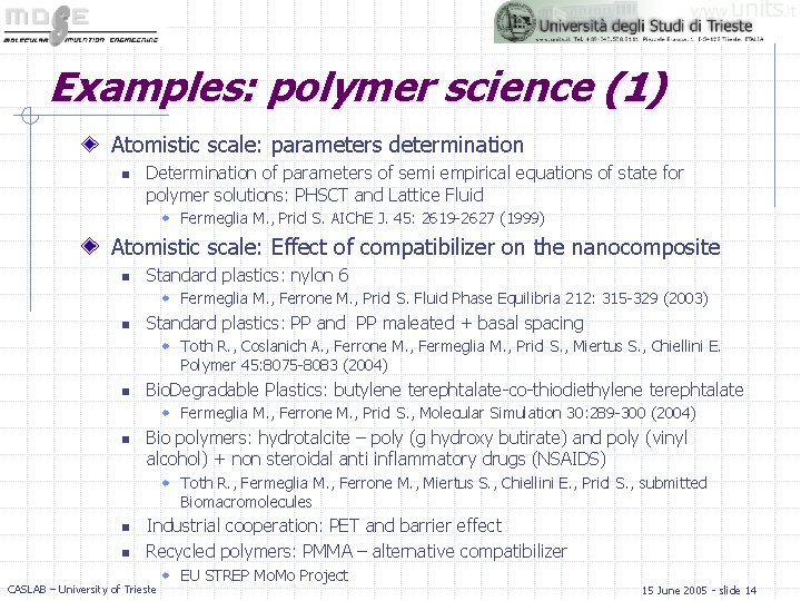 Examples: polymer science (1) Atomistic scale: parameters determination n Determination of parameters of semi