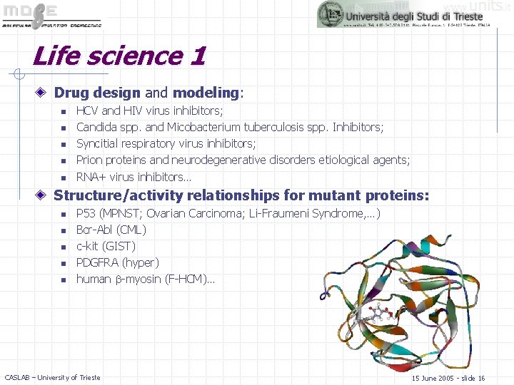 Life science 1 Drug design and modeling: n n n HCV and HIV virus