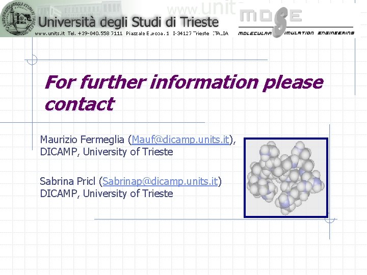 For further information please contact Maurizio Fermeglia (Mauf@dicamp. units. it), DICAMP, University of Trieste
