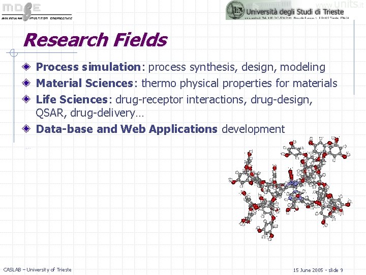 Research Fields Process simulation: process synthesis, design, modeling Material Sciences: thermo physical properties for