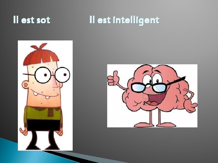 Il est sot Il est intelligent 