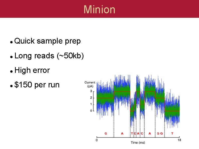 Minion Quick sample prep Long reads (~50 kb) High error $150 per run 