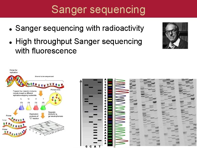 Sanger sequencing with radioactivity High throughput Sanger sequencing with fluorescence 
