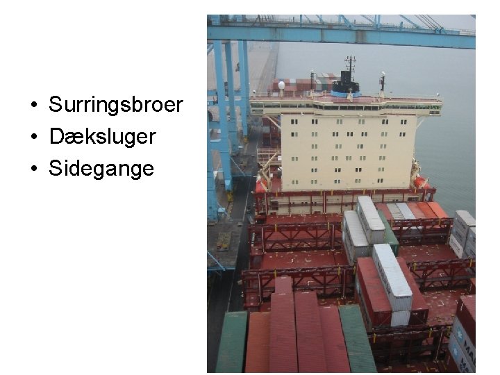  • Surringsbroer • Dæksluger • Sidegange 