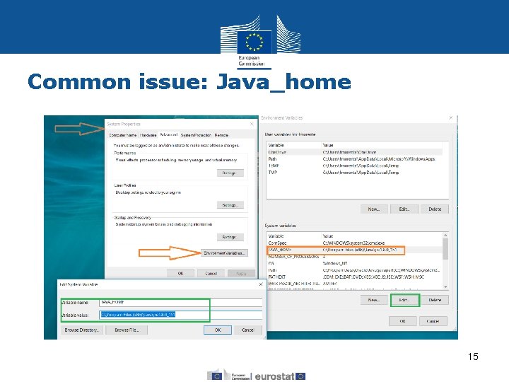 Common issue: Java_home 15 Eurostat 