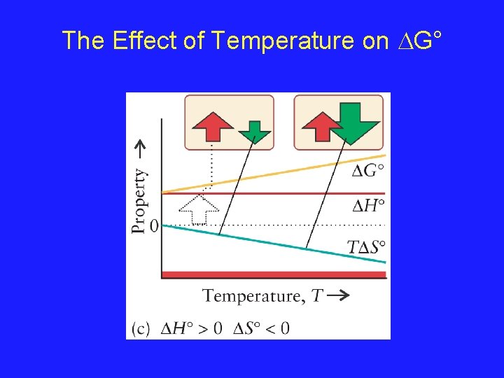 The Effect of Temperature on G° 