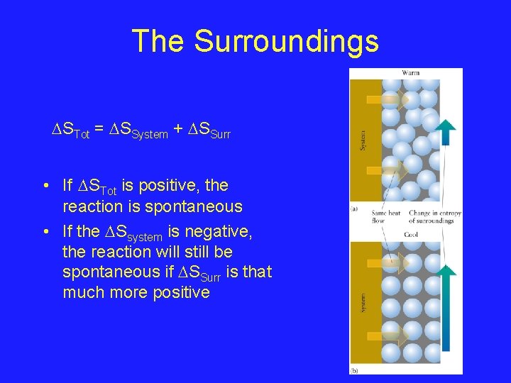 The Surroundings STot = SSystem + SSurr • If STot is positive, the reaction