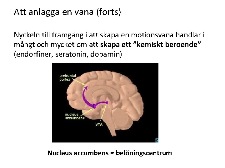 Att anlägga en vana (forts) Nyckeln till framgång i att skapa en motionsvana handlar