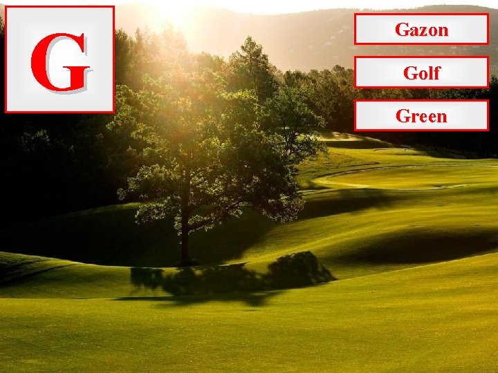 G Gazon Golf Green 