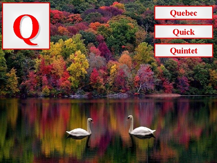 Q Quebec Quick Quintet 