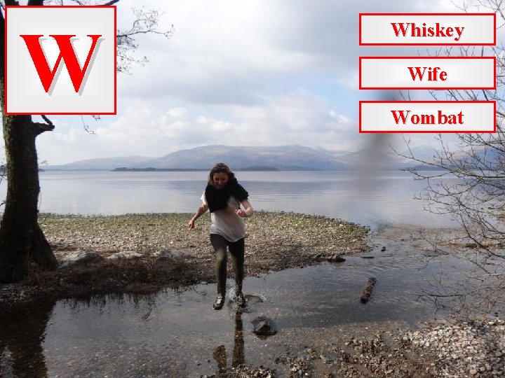 W Whiskey Wife Wombat 