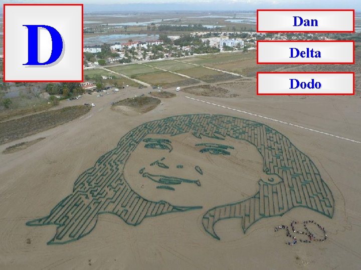 D Dan Delta Dodo 