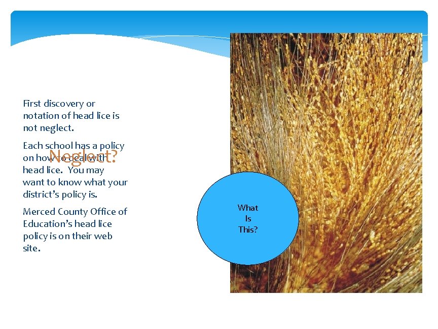 First discovery or notation of head lice is not neglect. Each school has a