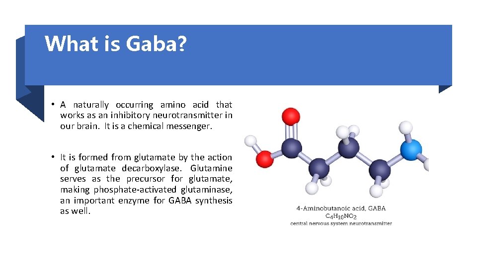 What is Gaba? • A naturally occurring amino acid that works as an inhibitory