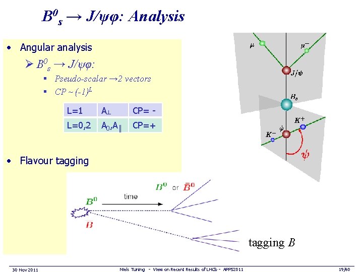 B 0 s → J/ψφ: Analysis • Angular analysis Ø B 0 s →