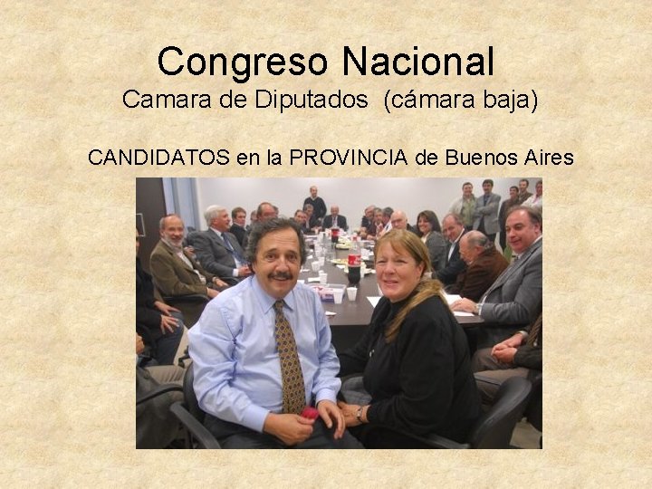 Congreso Nacional Camara de Diputados (cámara baja) CANDIDATOS en la PROVINCIA de Buenos Aires