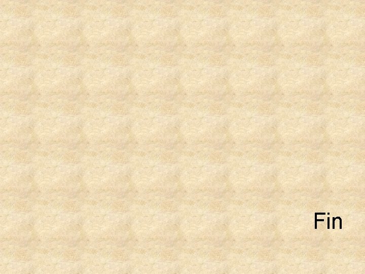 Fin 