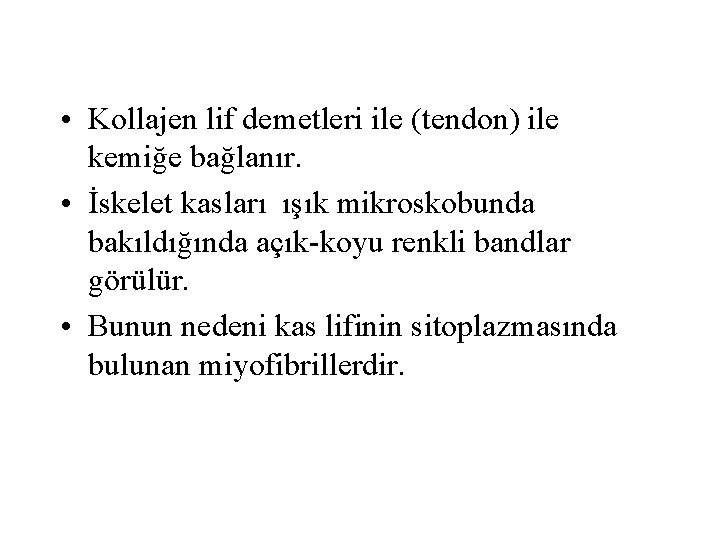  • Kollajen lif demetleri ile (tendon) ile kemiğe bağlanır. • İskelet kasları ışık